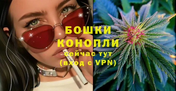 ALPHA-PVP Алексеевка