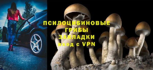 ALPHA-PVP Алексеевка